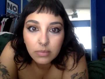 Polymamii January 27, 2026 Chaturbate stream image