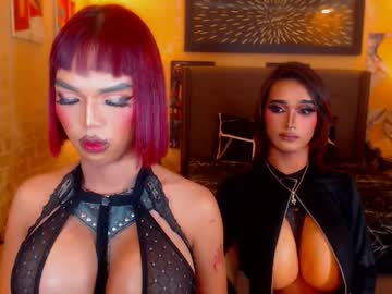 Prettyhorsecocktrans January 27, 2026 Chaturbate stream image