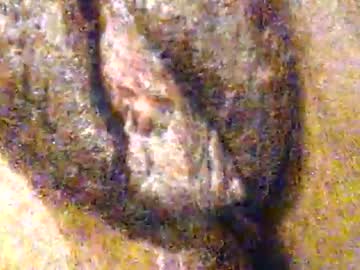 Annybecca January 28, 2026 Chaturbate stream image