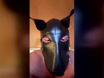 Playdog123 January 28, 2026 Chaturbate stream image
