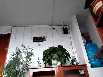 Janariivera1 January 29, 2026 Chaturbate stream image