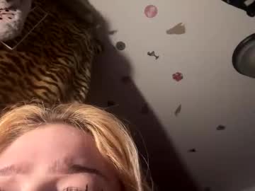 Parisbunny stream photo from January 29, 2026