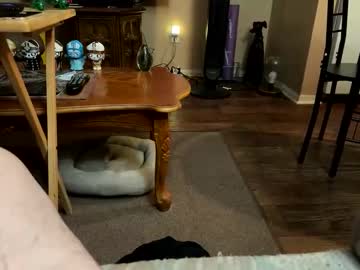 Brdmkr January 30, 2026 Chaturbate stream image