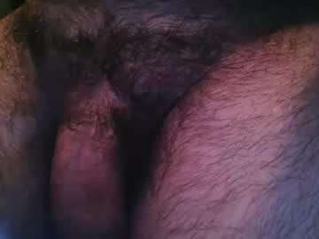 Zdaddymax1 January 31, 2026 Chaturbate stream image