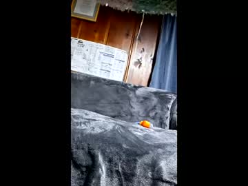 Bainescpl2024 January 31, 2026 Chaturbate stream image