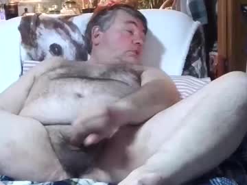Wldlife February 01, 2026 Chaturbate stream image