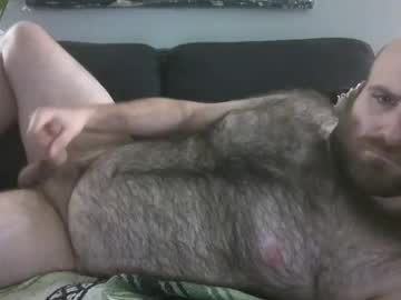Hairiestbear stream photo from February 01, 2026