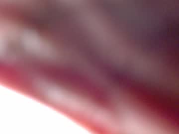 Africas_Booty842808 February 02, 2026 Chaturbate stream image