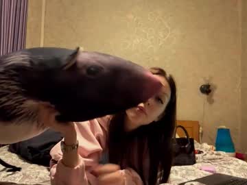 Kenyattabusch February 02, 2026 Chaturbate stream image
