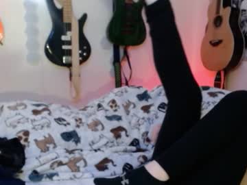 Xxwhitefoxx February 03, 2026 Chaturbate stream image