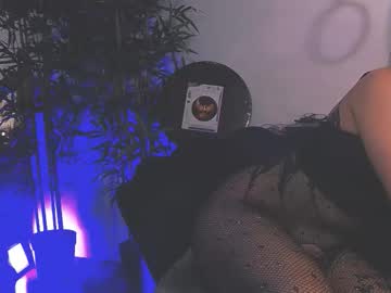 Bellatayllor February 03, 2026 Chaturbate stream image