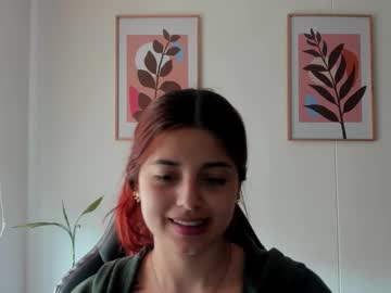 Shylittlebunny February 03, 2026 Chaturbate stream image