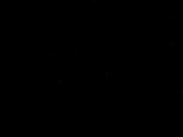 Pete459 February 03, 2026 Chaturbate stream image