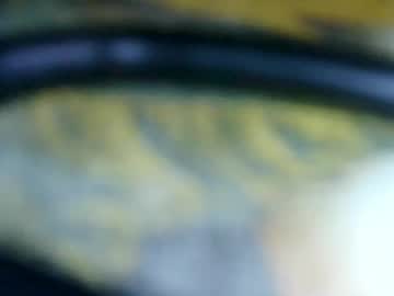 Hofnung February 04, 2026 Chaturbate stream image
