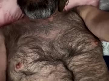 Danimal1386 February 05, 2026 Chaturbate stream image