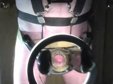 Robodickmilker February 06, 2026 Chaturbate stream image