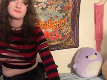 Treecups February 06, 2026 Chaturbate stream image