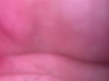 Surf98765 February 06, 2026 Chaturbate stream image