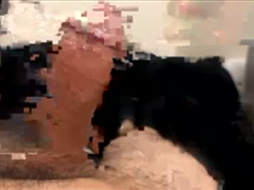 Cum4u408 February 09, 2026 Chaturbate stream image