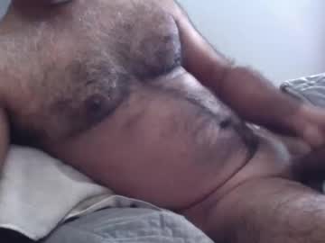 Wildhungry February 09, 2026 Chaturbate stream image