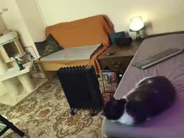 Nessieanalemma February 10, 2026 Chaturbate stream image