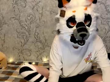 Chaudoing February 10, 2026 Chaturbate stream image