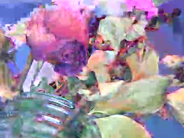 Riassyn February 10, 2026 Chaturbate stream image