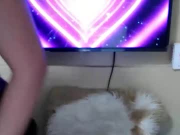 Danica_Wild February 11, 2026 Chaturbate stream image