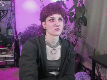 Kodamagrey February 11, 2026 Chaturbate stream image