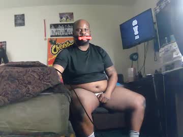 Hbdj2164 February 12, 2026 Chaturbate stream image