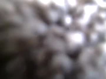 Freakyspun101 February 12, 2026 Chaturbate stream image
