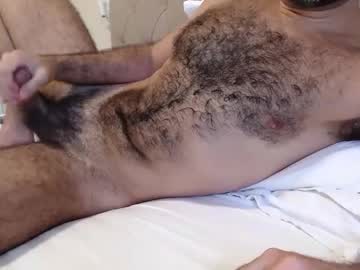Gallobhz February 12, 2026 Chaturbate stream image