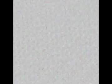 Blackroszee February 12, 2026 Chaturbate stream image