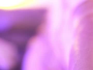 Students_Porn February 13, 2026 Chaturbate stream image