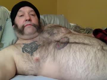 Caz508 February 14, 2026 Chaturbate stream image