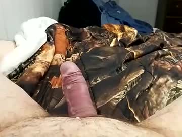 Shyguy4579 February 14, 2026 Chaturbate stream image