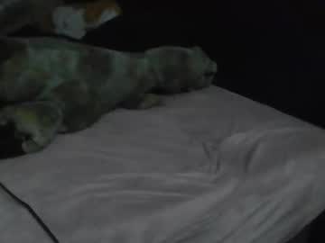Uzithebbc February 16, 2026 Chaturbate stream image