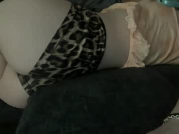 Hushforpapa February 17, 2026 Chaturbate stream image