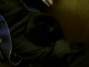 Muller520 February 17, 2026 Chaturbate stream image