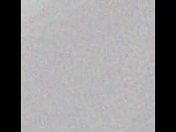 Snakeguy08 February 18, 2026 Chaturbate stream image