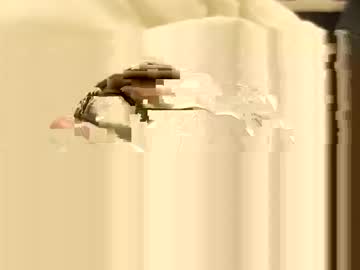 Teluguboy28 February 18, 2026 Chaturbate stream image