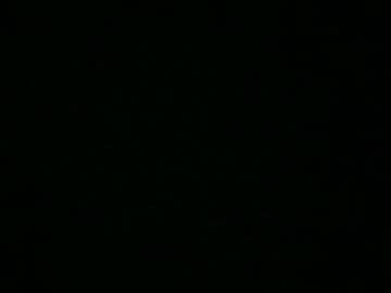 Rollinhardrightnow February 19, 2026 Chaturbate stream image