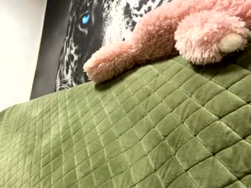 Bella_Dolletares February 19, 2026 Chaturbate stream image