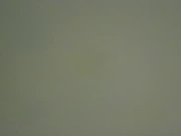 Pweetyp February 20, 2026 Chaturbate stream image