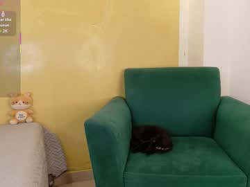 Rosse_Dredd February 20, 2026 Chaturbate stream image