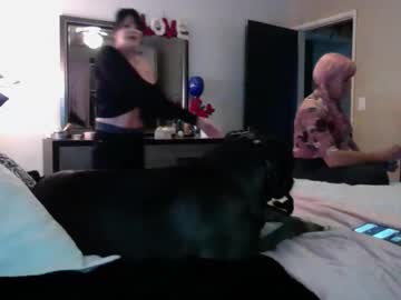 Katbrake February 20, 2026 Chaturbate stream image