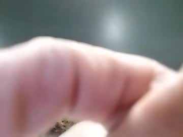 Pokietommy February 21, 2026 Chaturbate stream image