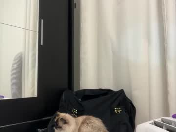 Helenaturbate February 21, 2026 Chaturbate stream image