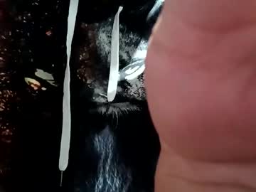 Josemalcriado February 23, 2026 Chaturbate stream image