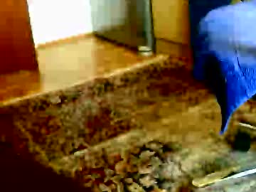 Dammerl6 February 24, 2026 Chaturbate stream image